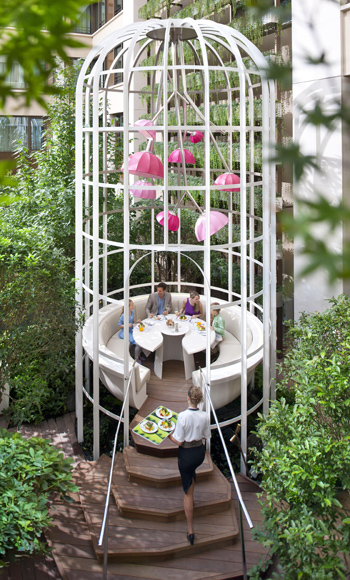 camelia terrasse