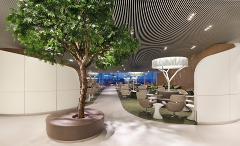 Le nouveau salon Air France Le nouveau salon Air France