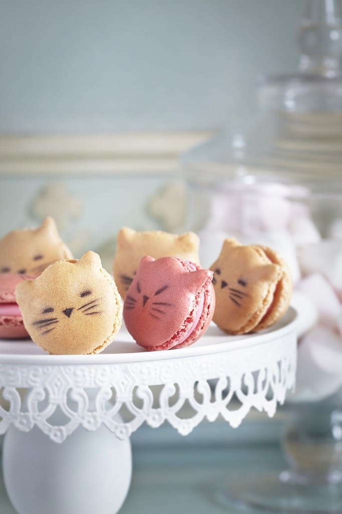 Macaron Badou by Len+¼tre (c)T. Dhellemmes