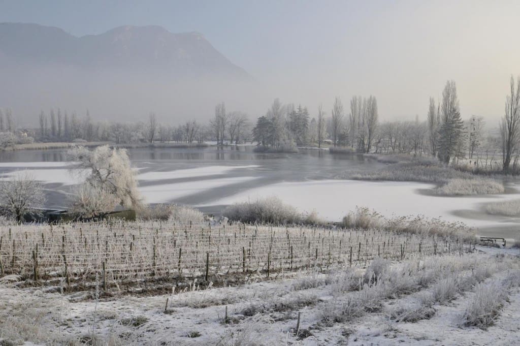 St Andre Savoie Credit Photo CIVS_5114