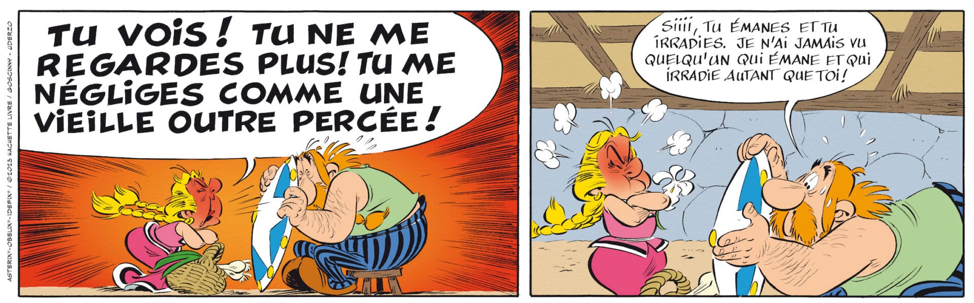 Sortie d'une aventure méconnue d'Astérix et Obélix -  - Livres